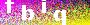 captcha_pic